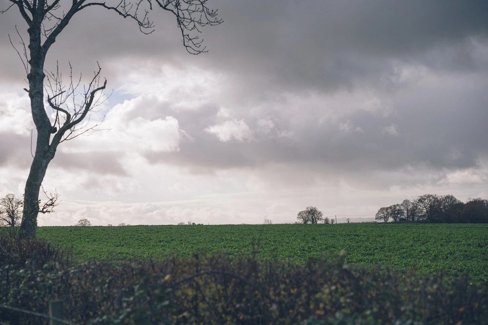 Farmland with a grey sky in the background Farmland with a grey sky in the background